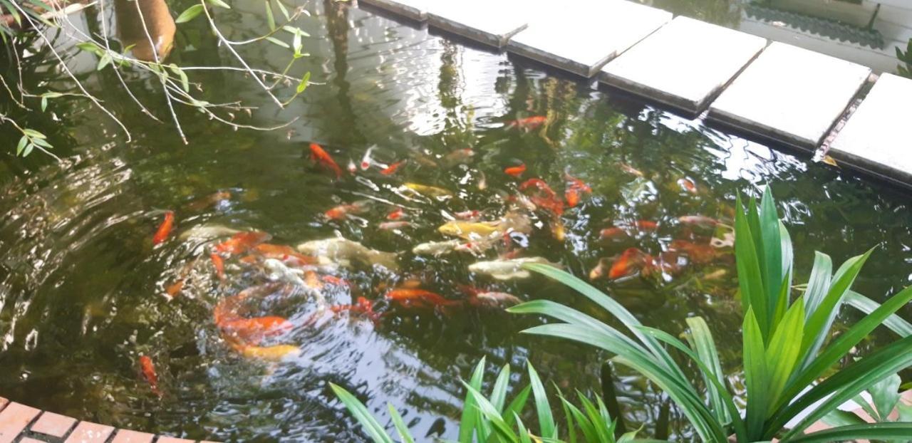 Tỉnh Kontum Konklor Hotel מראה חיצוני תמונה